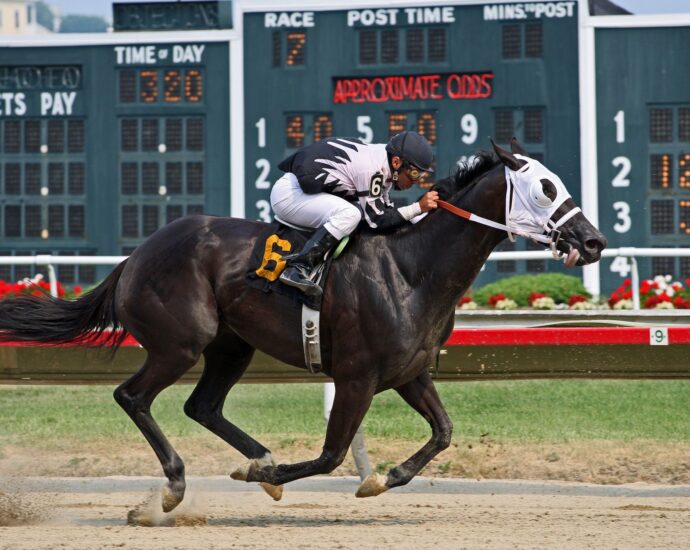 U.S. sports betting review