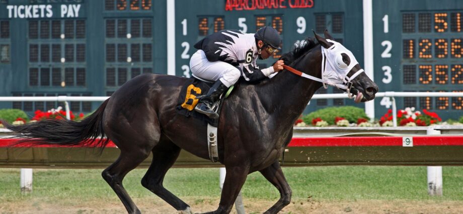 U.S. sports betting review
